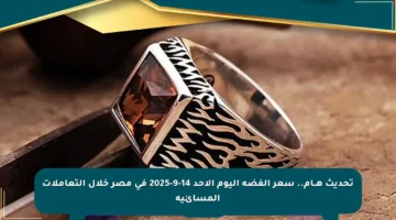 تحديث هــام.. سعر الفضة اليوم الأحد 14-9-2025 في مصر خلال التعاملات المسائية